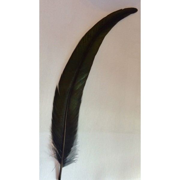 Feather Black Rooster Tail x 2